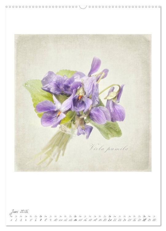 Produktbild: Flower Dreams (Wandkalender 2026 DIN A2 hoch), CALVENDO Monatskalender