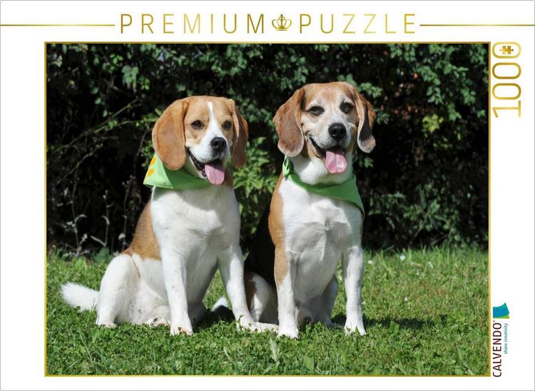 Produktbild: CALVENDO Puzzle Beagle P&auml;rchen | 1000 Teile Lege-Gr&ouml;&szlig;e 64x48cm Foto-Puzzle f&uuml;r gl&uuml;ckliche Stunden