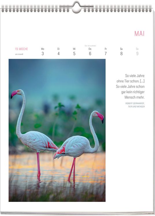 Produktbild: Literarischer Vogel Kalender 2027