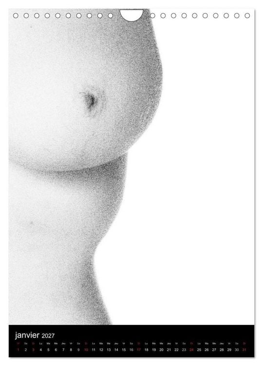 Produktbild: F&eacute;minit&eacute; (Calendrier mural 2027 DIN A4 horizontal), CALVENDO calendrier mensuel