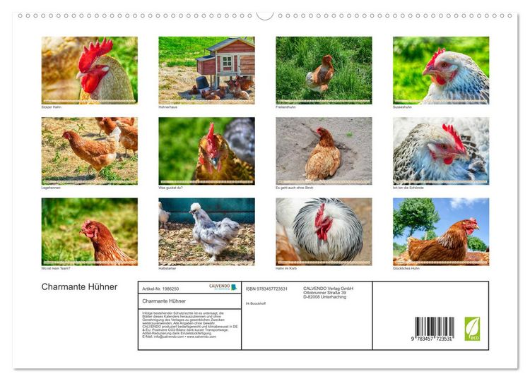 Produktbild: Charmante H&uuml;hner (hochwertiger Premium Wandkalender 2026 DIN A2 quer), Kunstdruck in Hochglanz