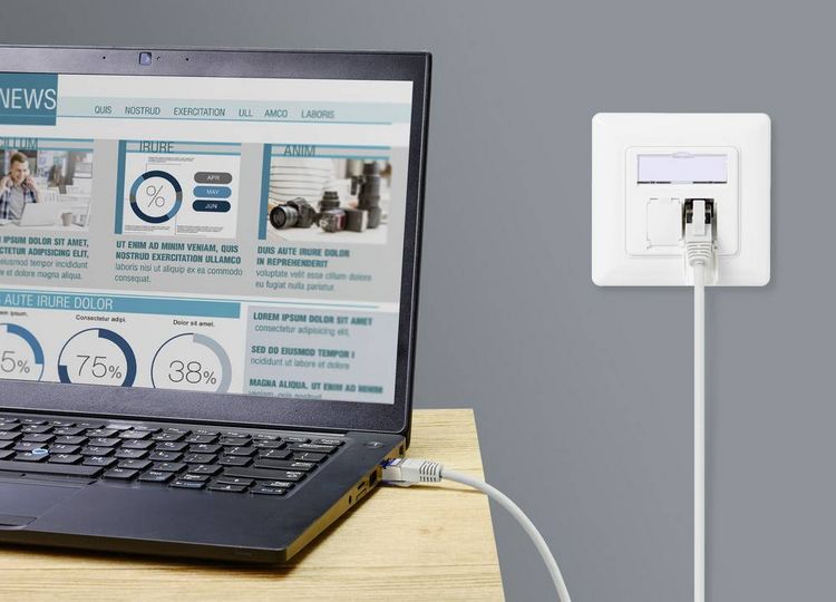Produktbild: Renkforce RF-5266146 RJ45 Patchkabel CAT 6a S/FTP 10.00 m Grau Slimline, Flexibel, mit Rastnasenschutz, Flammwidrig 1 St.