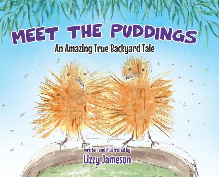 Produktbild: Meet the Puddings