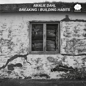 Produktbild: Breaking/Building Habits (live)