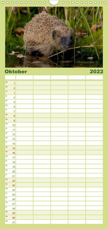 Produktbild: Familienplaner Tiere des Waldes (Wandkalender 2022 , 21 cm x 45 cm, hoch)