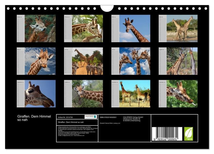 Produktbild: Giraffen. Dem Himmel so nah (Wandkalender 2026 DIN A4 quer), CALVENDO Monatskalender