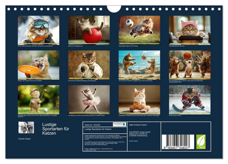 Produktbild: Lustige Sportarten f&uuml;r Katzen (Wandkalender 2026 DIN A4 quer), CALVENDO Monatskalender