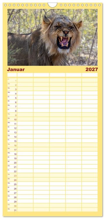 Produktbild: Familienplaner 2027 - L&ouml;wen in Botswana und S&uuml;dafrika mit 5 Spalten (Wandkalender, 21 x 45 cm) CALVENDO