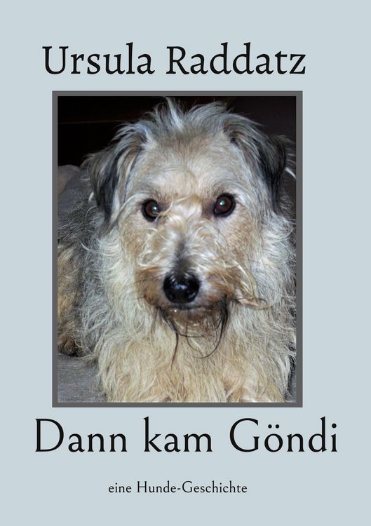 Produktbild: Dann kam G&ouml;ndi
