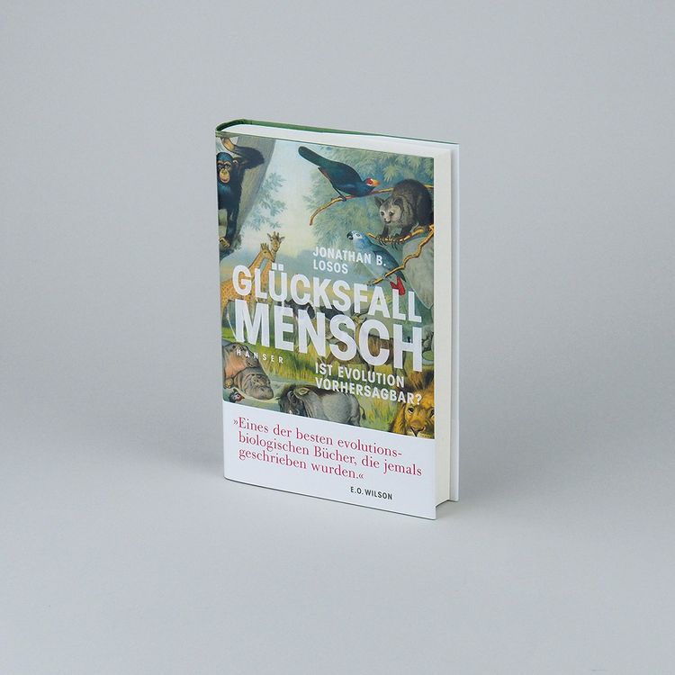Produktbild: Gl&uuml;cksfall Mensch