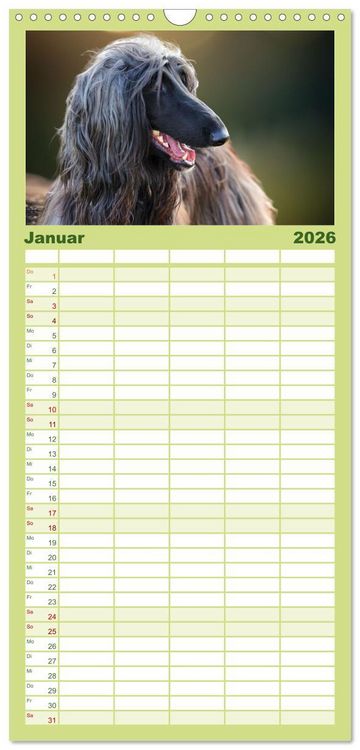 Produktbild: Familienplaner 2026 - Windhunde im Portrait mit 5 Spalten (Wandkalender, 21 x 45 cm) CALVENDO