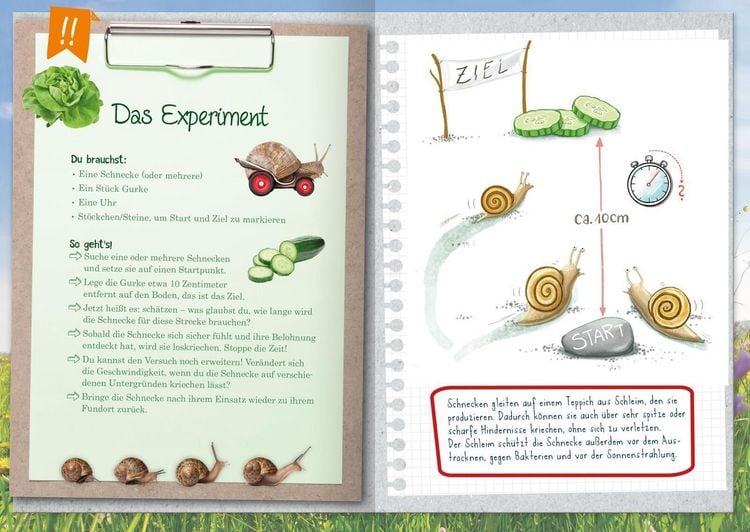 Produktbild: Naturforscher-Kids &ndash; Mein erstes Naturforscher-Buch