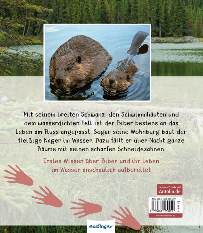 Produktbild: Meine gro&szlig;e Tierbibliothek: Der Biber