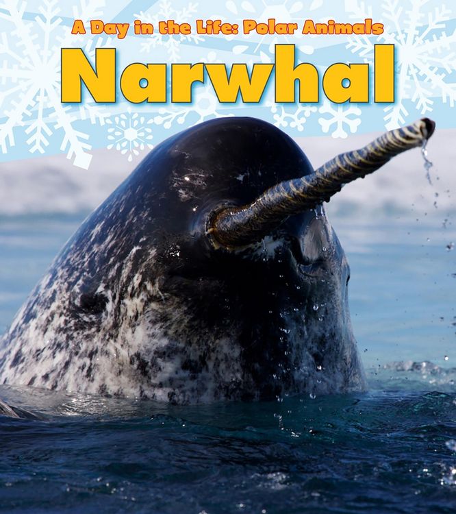 Produktbild: Narwhal