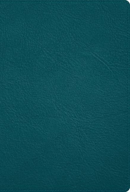 Produktbild: Rvr 1960 Biblia Deluxe, Verde Turquesa Piel Genuina