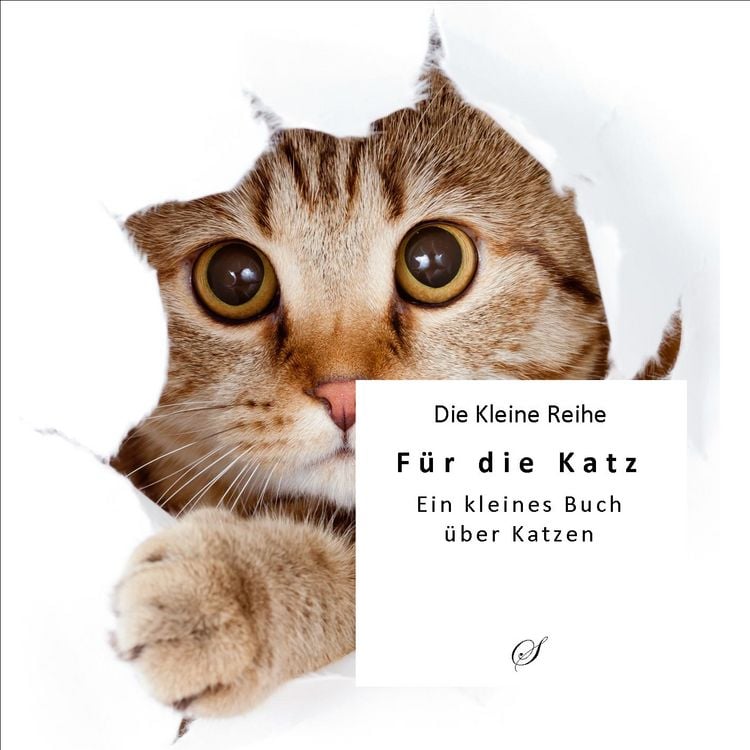 Produktbild: KLR Bd. 63: Katzen