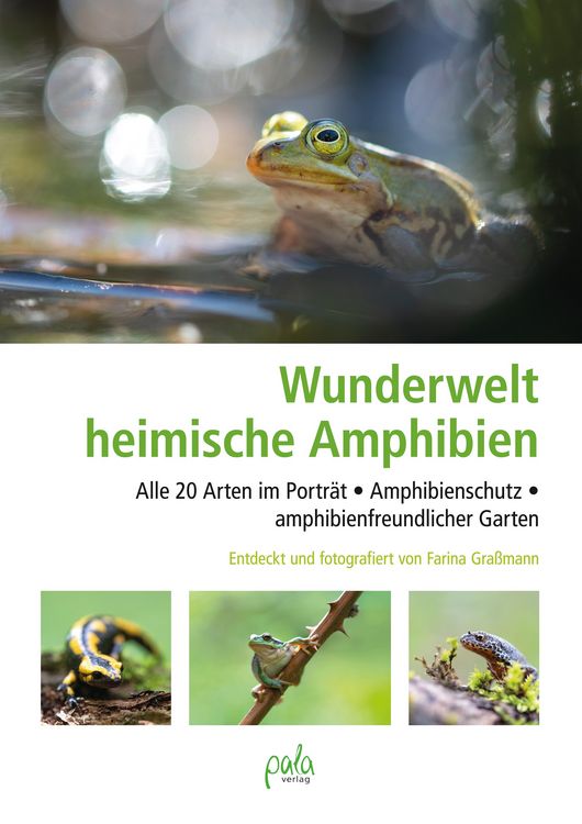 Produktbild: Wunderwelt heimische Amphibien