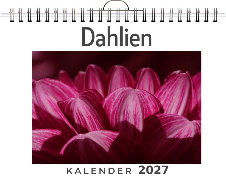 Produktbild: Dahlien