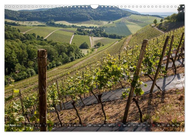 Produktbild: Weinlagen in Franken (Wandkalender 2027 DIN A3 quer), CALVENDO Monatskalender
