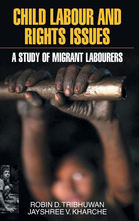 Produktbild: Child Labour and Rights Issues