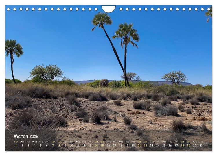 Produktbild: Namibia - African Beauty (Wall Calendar 2026 DIN A4 landscape), CALVENDO 12 Month Wall Calendar