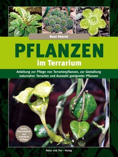 Produktbild: Pflanzen im Terrarium