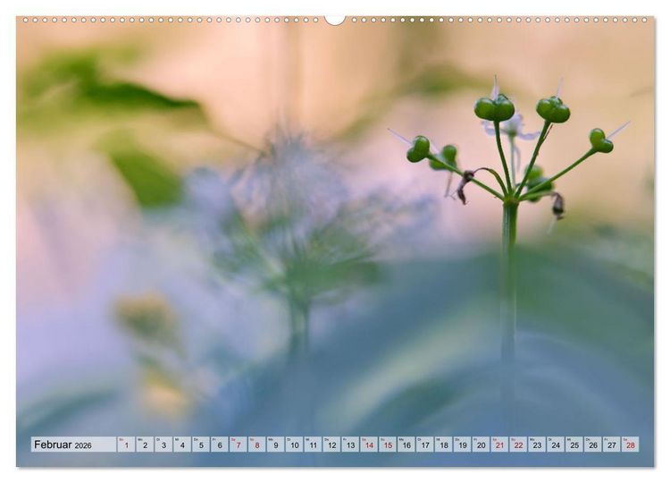 Produktbild: Wenn Bl&uuml;ten tr&auml;umen tanzt das Licht (Wandkalender 2026 DIN A2 quer), CALVENDO Monatskalender