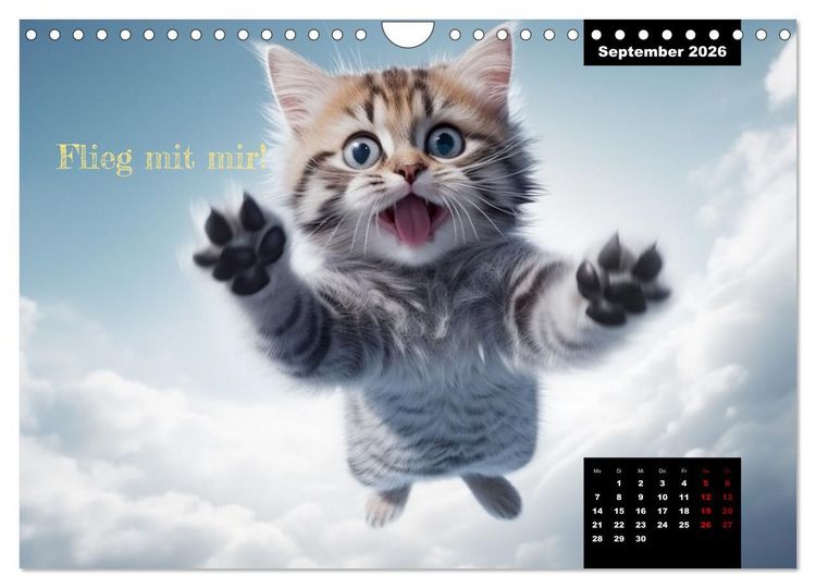 Produktbild: Katzen k&ouml;nnen alles, au&szlig;er traurig. (Wandkalender 2026 DIN A4 quer), CALVENDO Monatskalender