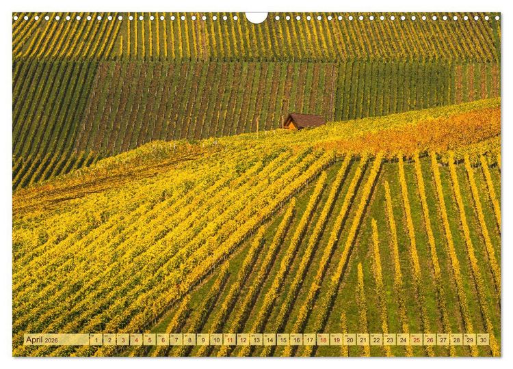 Produktbild: Farbenpr&auml;chtige Weinberge (Wandkalender 2026 DIN A3 quer), CALVENDO Monatskalender