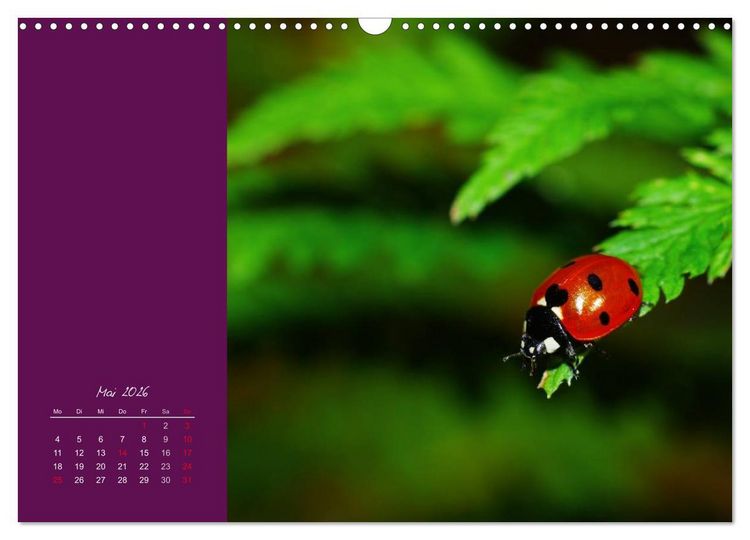 Produktbild: Momente des Gl&uuml;cks (Wandkalender 2026 DIN A3 quer), CALVENDO Monatskalender