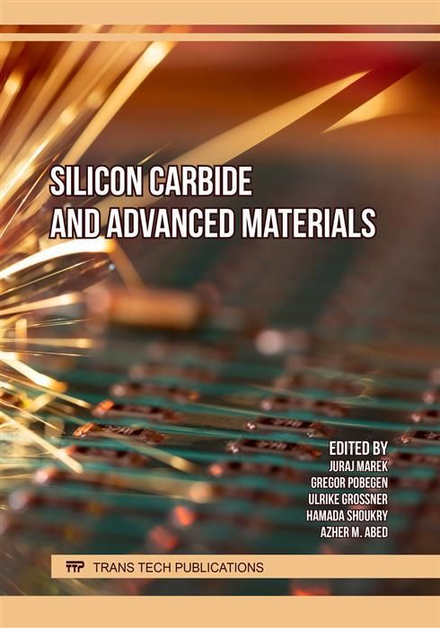 Produktbild: Silicon Carbide and Advanced Materials
