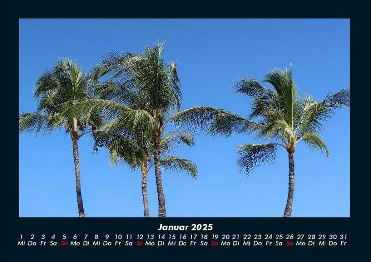 Produktbild: Pflanzen und Bl&uuml;ten 2025 Fotokalender DIN A4