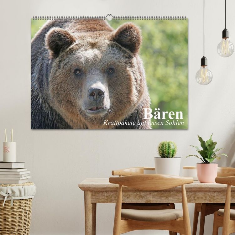 Produktbild: B&auml;ren. Kraftpakete auf leisen Sohlen (Wandkalender 2026 DIN A2 quer), CALVENDO Monatskalender