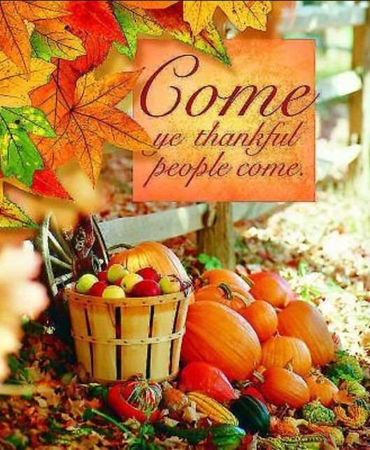 Produktbild: Come Thanksgiving Bulletin 2012, Large Size (Package of 50)