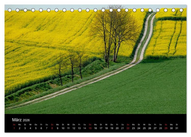 Produktbild: Wege 2026 (Tischkalender 2026 DIN A5 quer), CALVENDO Monatskalender