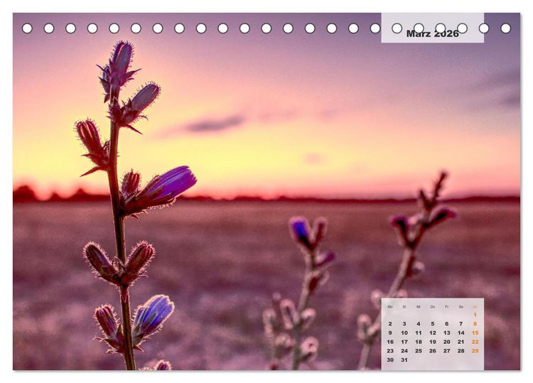 Produktbild: Niedersachsens Moorlandschaften - Das Pietzmoor, Schneverdingen (Tischkalender 2026 DIN A5 quer), CALVENDO Monatskalender