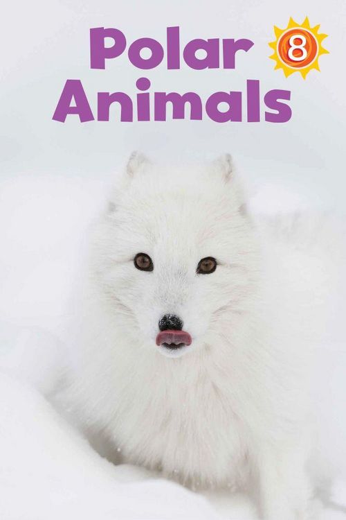 Produktbild: Polar Animals Big Book