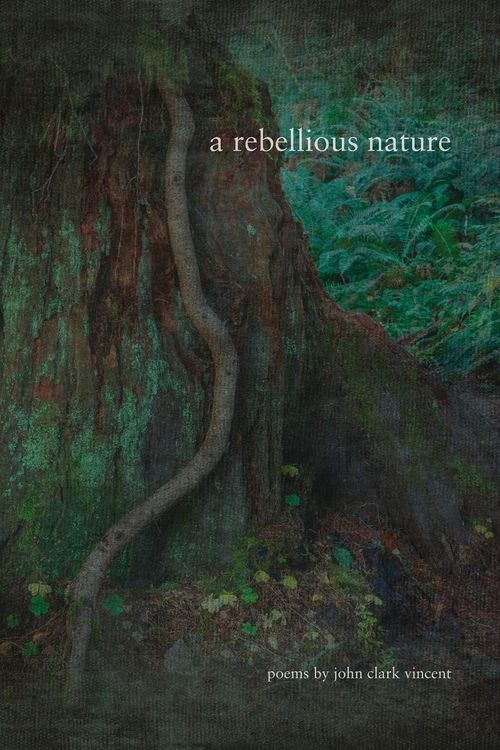 Produktbild: A Rebellious Nature