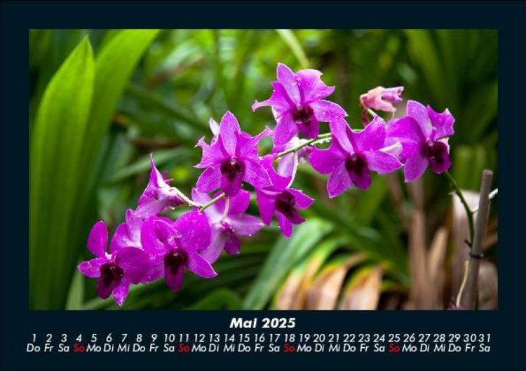 Produktbild: Naturlandschaften 2025 Fotokalender DIN A5