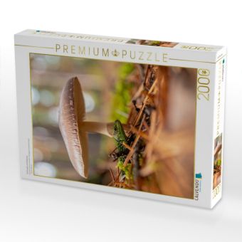 Produktbild: CALVENDO Puzzle Schirmpilz und Eidechse | 2000 Teile Lege-Gr&ouml;&szlig;e 90x67cm Foto-Puzzle f&uuml;r gl&uuml;ckliche Stunden