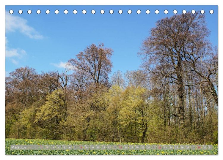 Produktbild: M&uuml;nsterland - Vielf&auml;ltige Sch&ouml;nheit (Tischkalender 2026 DIN A5 quer), CALVENDO Monatskalender