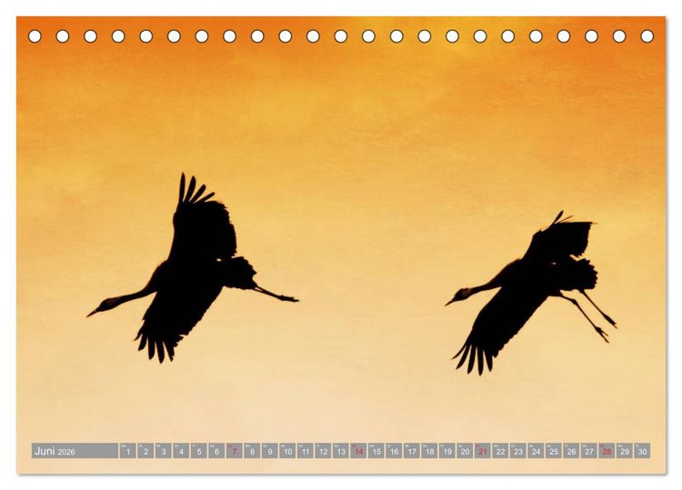 Produktbild: KranichRomantik (Tischkalender 2026 DIN A5 quer), CALVENDO Monatskalender