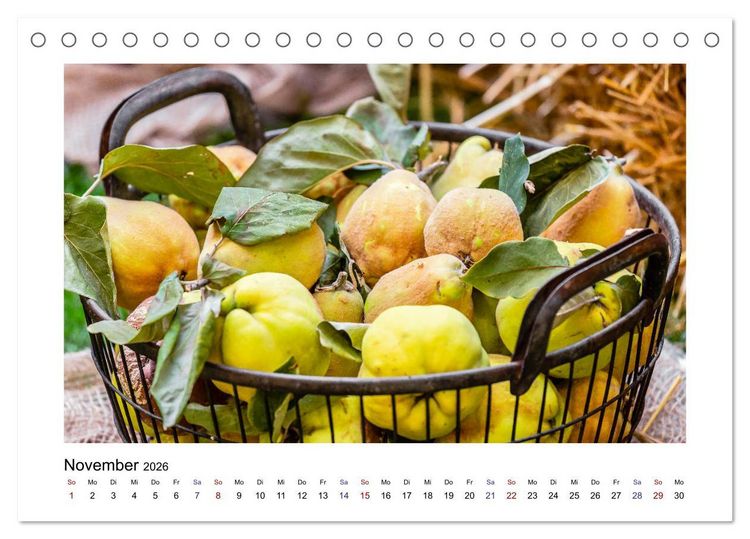 Produktbild: Wochenmarkt - Genussvoll Einkaufen (Tischkalender 2026 DIN A5 quer), CALVENDO Monatskalender