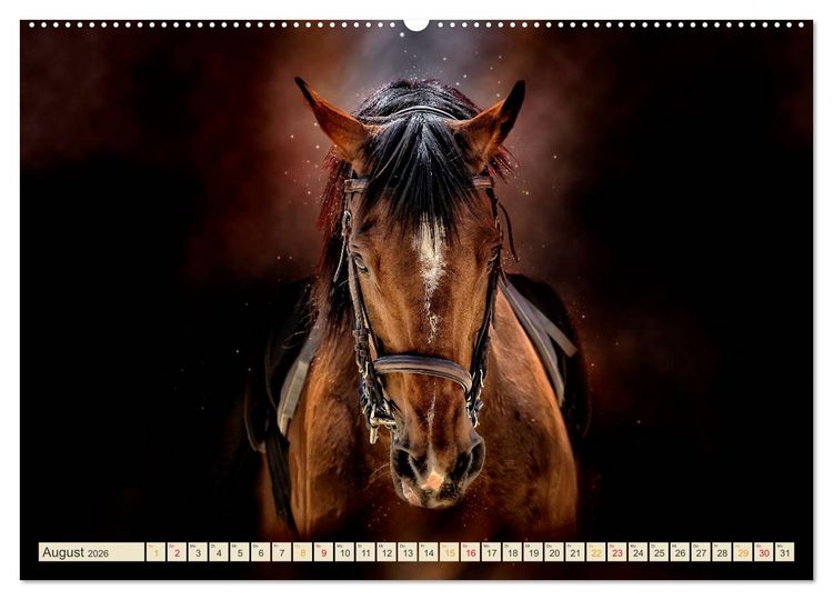 Produktbild: Eleganz und Sch&ouml;nheit - Pferde (hochwertiger Premium Wandkalender 2026 DIN A2 quer), Kunstdruck in Hochglanz