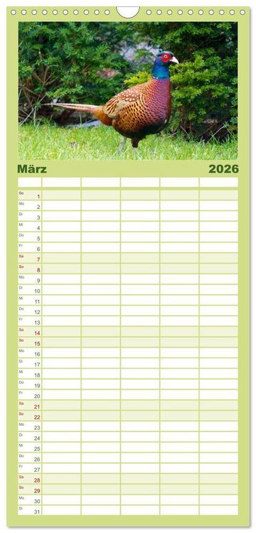 Produktbild: Familienplaner 2026 - Heimische V&ouml;gel mit 5 Spalten (Wandkalender, 21 x 45 cm) CALVENDO