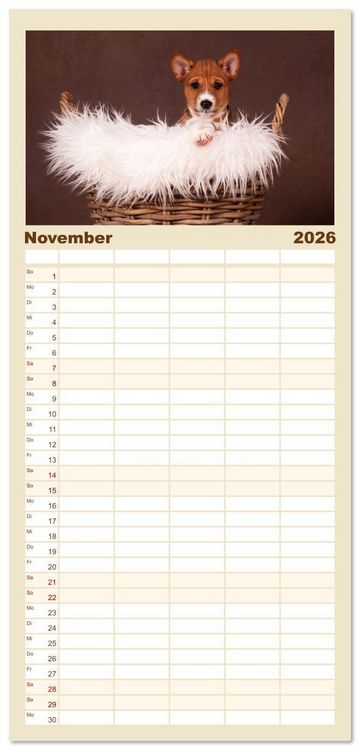 Produktbild: Familienplaner 2026 - Der Basenji mit 5 Spalten (Wandkalender, 21 x 45 cm) CALVENDO