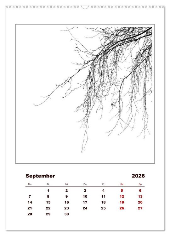 Produktbild: LignoGrafica - Muster und Strukturen der B&auml;ume (Wandkalender 2026 DIN A2 hoch), CALVENDO Monatskalender
