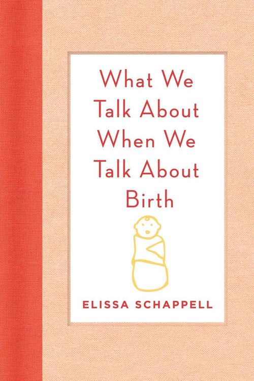 Produktbild: What We Talk About When We Talk About Birth