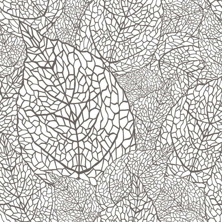 Produktbild: Natur Inspiration &ndash; 50 Gartenmotive kolorieren