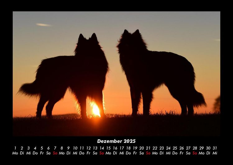 Produktbild: Hundezauber 2025 Fotokalender DIN A3